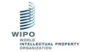 世界知識産(chan)權組織（WIPO）